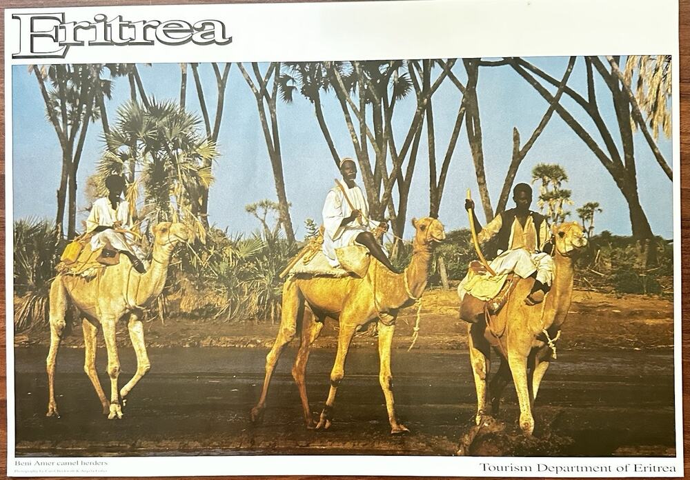Vintage Eritrea Beni Amer Camel Herders Tourism Poster Beckwith Fisher 24.5x17